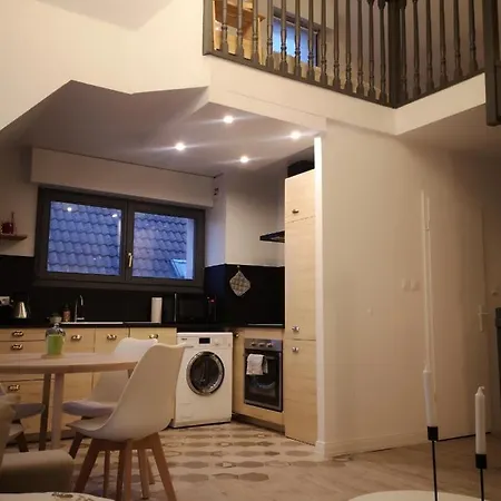 **la Mezzanine** Proche Zenith & Centre Apartament Strasburg