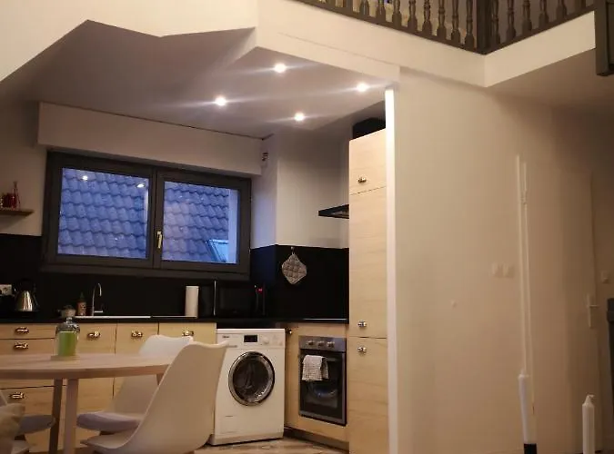 **la Mezzanine** Proche Zenith & Centre Апартаменты Страсбург
